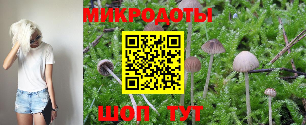 Галлюциногенные грибы мухоморы Кызыл